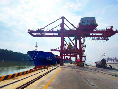 事关你我餐桌 揭秘中国农资化肥运输的“钢铁血脉” 高效多式联运网络